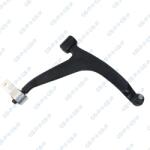 GSP Brat, suspensie roata GSP S060377 (S060377) - fixbox