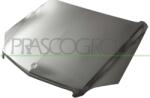 PRASCO Capota motor PRASCO ME7103100 (ME7103100) - fixbox