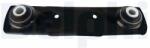 DELPHI Brat/bieleta, suspensie roata DELPHI TC4629 (TC4629)