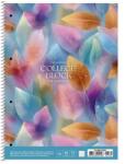 Shkolyaryk Publishing House Spirálfüzet kockás A4+ 80 lap For your Ideas vegyes A4-080-6530K (A4-080-6530K)