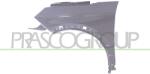 PRASCO Aripa PRASCO PG5243004 (PG5243004) - fixbox