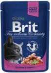  Brit Premium Macska tasakos eledel Norvég lazac és pisztráng 100g