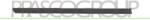 PRASCO Elemente decorative/protectie, portiera PRASCO VG0341453 (VG0341453)