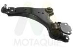 MOTAQUIP Brat, suspensie roata MOTAQUIP LVSA1601 (LVSA1601) - fixbox