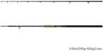 Delphin ENERGY Catfish 250cm/250-500g (101006646)