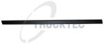 Trucktec Automotive Elemente decorative/protectie, portiera TRUCKTEC AUTOMOTIVE 08.62. 901 (08.62.901)