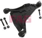 Fag Brat, suspensie roata FAG 821 0449 10 (821 0449 10)