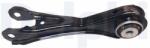 DELPHI Brat, suspensie roata DELPHI TC6841 (TC6841) - fixbox