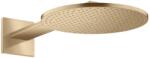 Hansgrohe - ShowerSolutions - Fejzuhany - 35300140 (35300140)