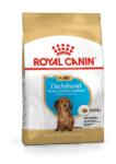 Royal Canin Dachshund Puppy - Tacskó kölyökkutya száraz táp 1.5 kg