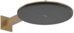 Hansgrohe - Raindance Alive S - Fejzuhany - 24541140 (24541140)