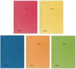 Falken Dosar carton color cu sina, 250 g/mp, Falken, 100 buc. /set (FA09502-100)