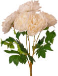Valex Decor Bazsarózsa selyemvirág csokor, 5 fejes, 47cm magas, virágfej átmérő: 11cm - Fehér (LD073-01)