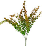 Valex Decor Havasi eukaliptusz, 5 ágú, 42cm magas - Barnás zöld (LD078-04)