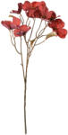 Clayre & Eef Floare artificiala rosie maro 12x8x72 cm (5PL0112R)