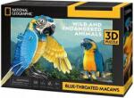 Dante 3D Puzzle National Geographic Zafír Ara (6944588210977)