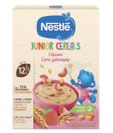 NESTLE Junior, cereale, cu capsune, 200 g (1100029408)