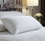 Ralex Pucioasa Pernă HoReCa 70x70 cm Bumbac Percale, umplutură fibră (400.418)