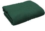 Ralex Pucioasa Prosop baie de mâini 30x50 cm Bumbac 100%, Greek Border 500 grame/mp, Verde (100.281-verde) Prosop