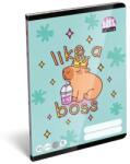ICO Lollipop Capybara: Vonalas füzet - A/5-ös, 3. osztály (7500169000) - jateknet