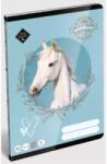 ICO Wild Beauty: Vonalas füzet - A/5-ös, 2. osztályos (7500168004) - jateknet