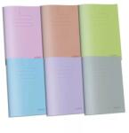 Herlitz Színes A4-es négyzetrácsos füzet borítással (400200755)