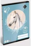 ICO Wild Beauty: Sima füzet - A/5-ös-ös (7500172004) - jatekbolt
