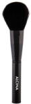 Alcina Brushes