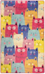  Cats - colourful
