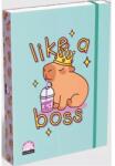 ICO Lollipop Capybara: Cutie pentru caiete - format A4 (7470216000)