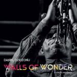 Daniel Dzidzonu - Walls Of Wonder (LP) (<![CDATA[0711221942771]]>)