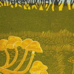 Rural Tapes - Rural Tapes (LP) (5400863050672)