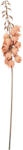 Clayre & Eef Floare artificiala portocalie maro 12x12x100 cm (5PL0257P)