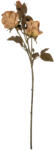 Clayre & Eef Trandafir artificial bej maro 12x12x70 cm (5PL0241BE)