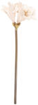Clayre & Eef Floare artificiala bej maro 16x16x65 cm (5PL0264W)