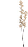 Clayre & Eef Floare artificiala maro alba 10x10x110 cm (5PL0274W)