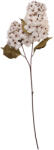 Clayre & Eef Hortensie artificiala alba maro 12x12x90 cm (5PL0276W)