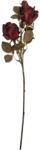 Clayre & Eef Trandafir artificial rosu maro 12x12x70 cm (5PL0241BU)