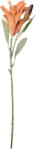 Clayre & Eef Crin artificial portocaliu verde 12x16x88 cm (5PL0252O)