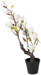 Clayre & Eef Magnolie alba artificiala in ghiveci 16x14x60 cm (5PL0206)