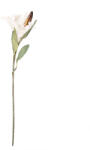 Clayre & Eef Crin artificial 12x16x88 cm (5PL0252BE)