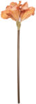 Clayre & Eef Floare artificiala portocalie maro 16x16x65 cm (5PL0264P)