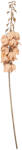 Clayre & Eef Floare artificiala maro 12x12x100 cm (5PL0257LP)