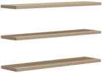 PAKOWORLD Set 3 rafturi de perete Divar, Diverse culori, 60x14 cm (230-000052) Raft