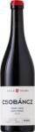 VILLA TOLNAY Pinot Noir 2022
