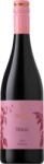 IKON Shiraz 2024