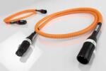 Ricable Dedalus Xlr (11812)