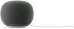 Google Home Speaker 2026 Hazel Boxa activa