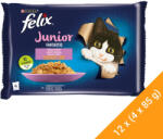 FELIX Fantastic Junior Nedves Macskaeledel Aszpikban (Csirke és Lazac) - 12x(4x85 g)