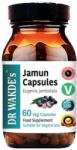 Dr Wakde's Jamun, 60 capsule, Dr Wakde's